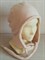Скандинавская шапка Ушанка из флиса и вэлсофта - фото 16485